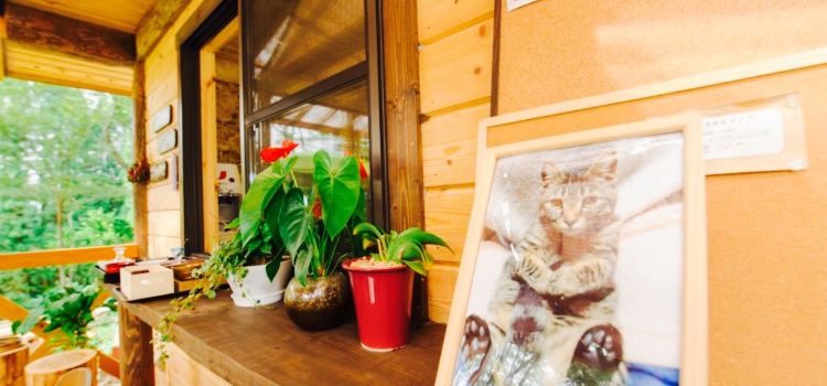 Community Restaurant Mori no Gohanya