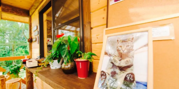 Community Restaurant Mori no Gohanya