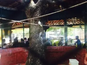 Restaurante Chale da Mata