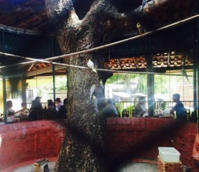 Restaurante Chale da Mata