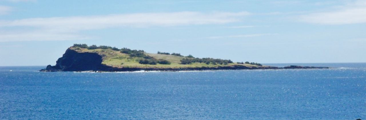 Snack Bar Toma La Da Ca