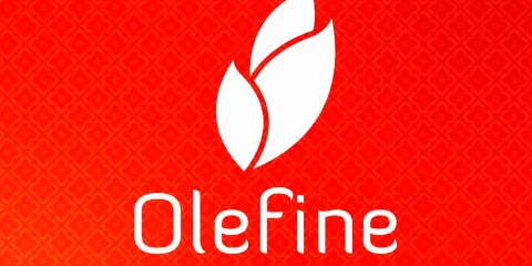 Conditori Olefine Elvegarden