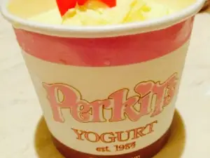 Perkits Yogurt