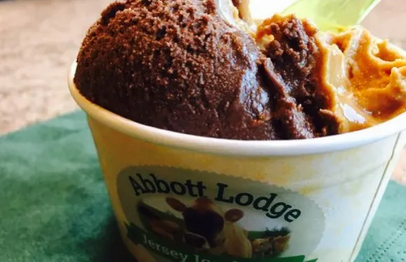 Abbott Lodge Jersey Ice Cream