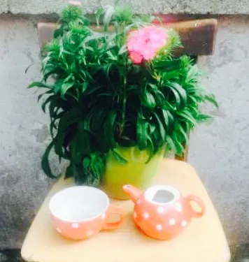 Gostilna pri Pratkarju