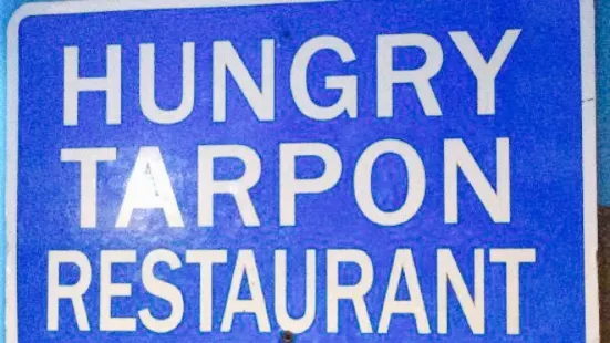 Hungry Tarpon