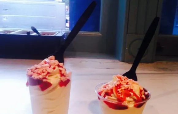 The Ice Cream Company