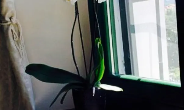 L'Aia della Baronessa