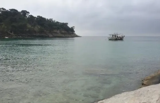 Aliki Restaurant Cafe