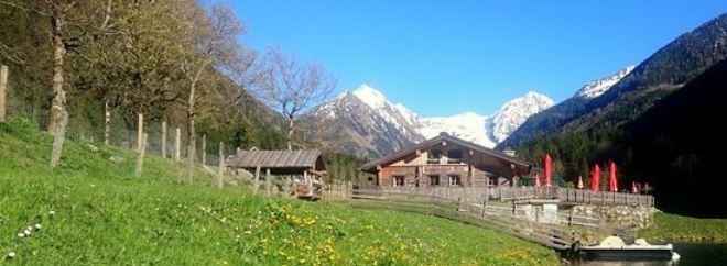 Waldhaeuslalm