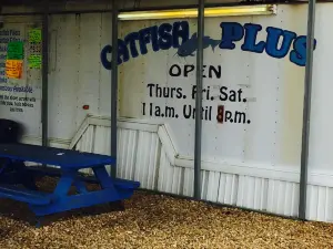 Catfish plus