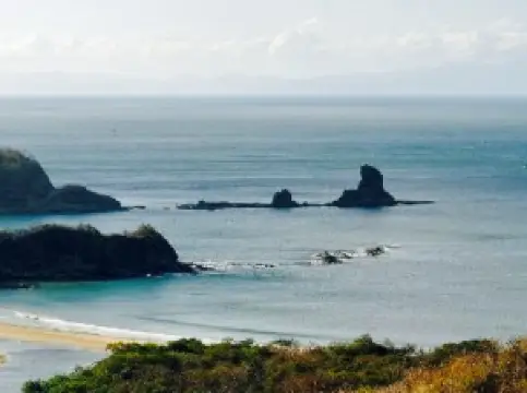 Restaurante Los Pescaditos