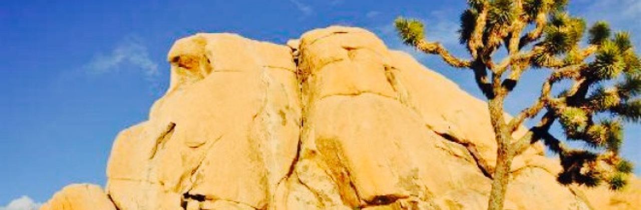 Sam's Indian Food & Pizza