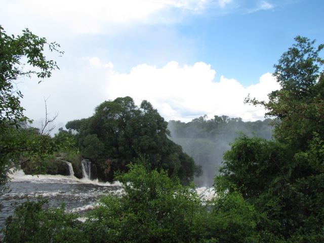 Chirinda Forest Reserve