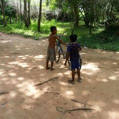 Gelato and Coffee Lab User Photo