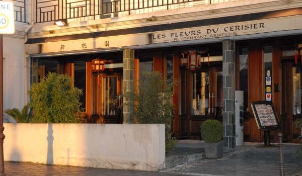 Les Fleurs Du Cerisier
