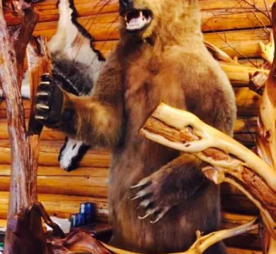 Nonna Lisa's Italian Ristorante