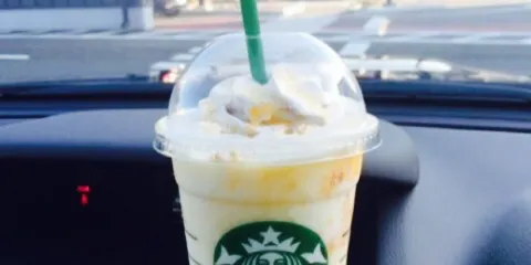 Starbucks Coffee Sakata Mizuho