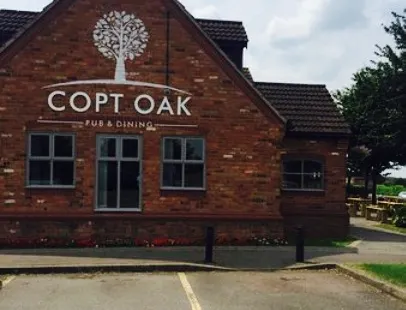 Copt Oak