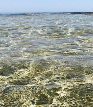Lido Tamerici