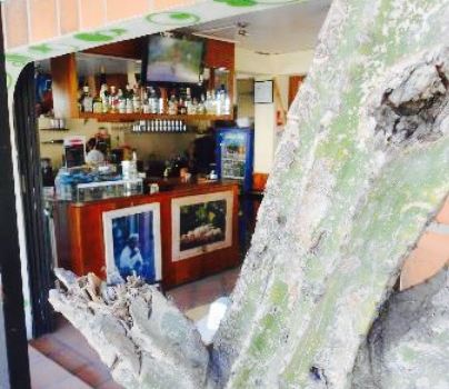 Cafe Vivaldi