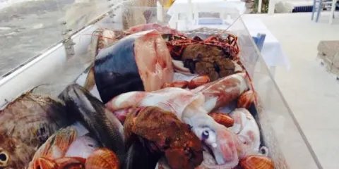 Osteria sul Mare Lounge Bar Valata