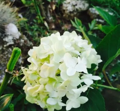 Costa Bella Restaurant