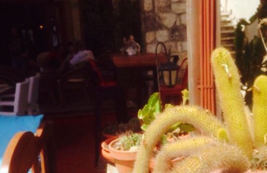 Ionis Cafe