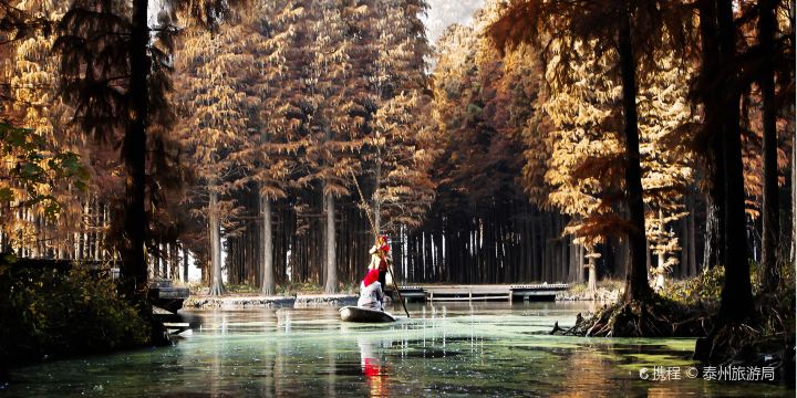 Lizhong Water Forest Scenic Spot