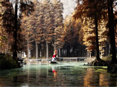 Popular Best Things to Do in Xinghua