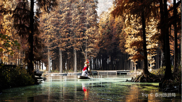 Lizhong Water Forest Scenic Spot