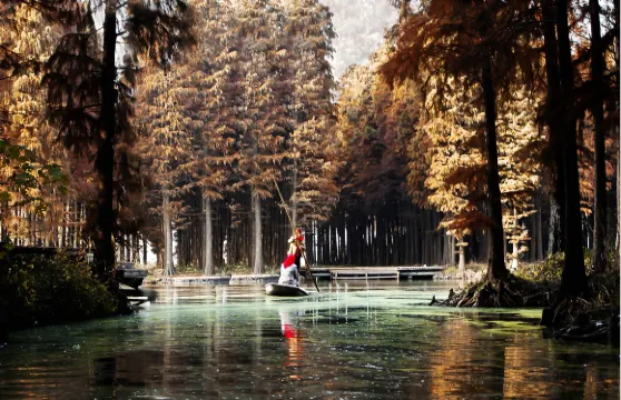 李中水上森林公園門票成人