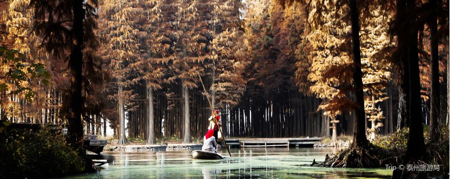 Lizhong Water Forest Scenic Spot