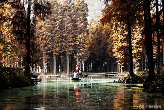 Lizhong Water Forest Scenic Spot