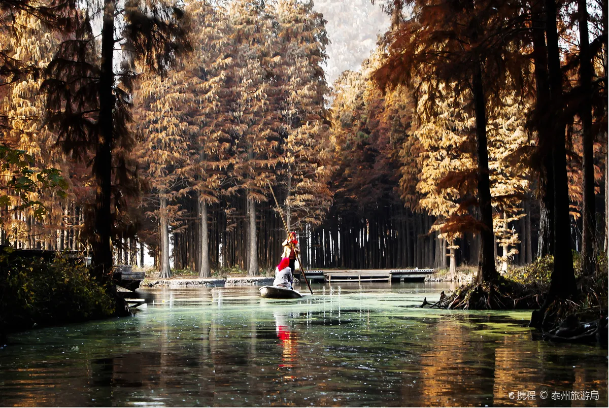 Lizhong Water Forest Scenic Spot