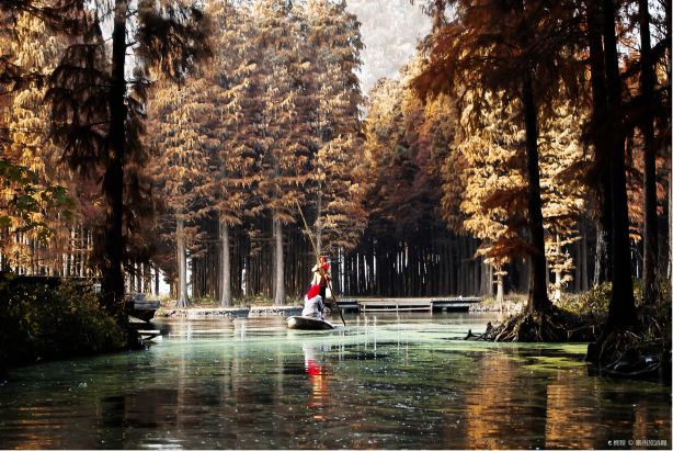 Lizhong Water Forest Scenic Spot