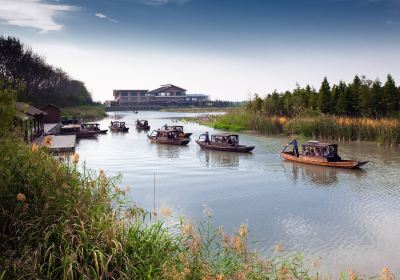 Qin Lake National Wetland Park