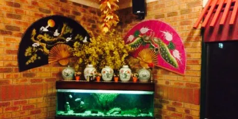 Dragon Village Chinese Restaurant