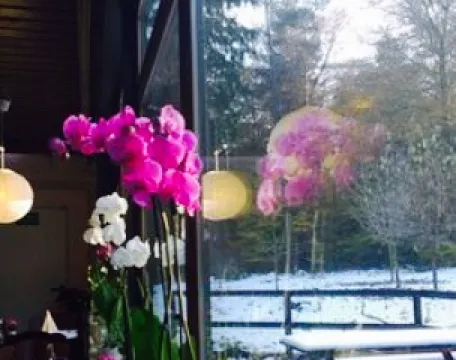 Raststatte Bluchereiche