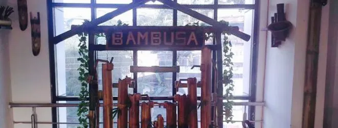 Bambusa