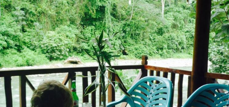 Jungle Hill Cafe