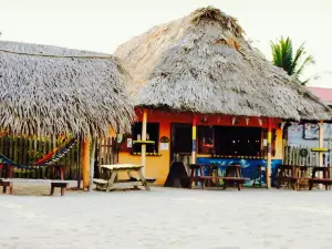 driftwood beach bar & pizza shack