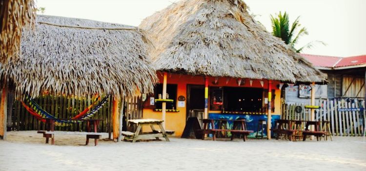 driftwood beach bar & pizza shack