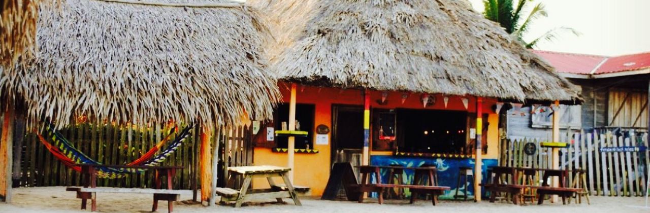 driftwood beach bar & pizza shack