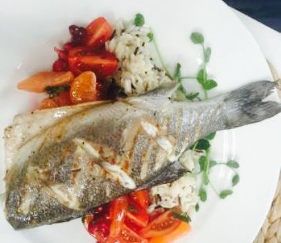 Slow Food Bistro