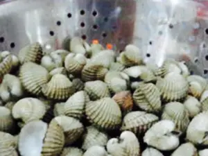 Kerang Kiloan Pelaut