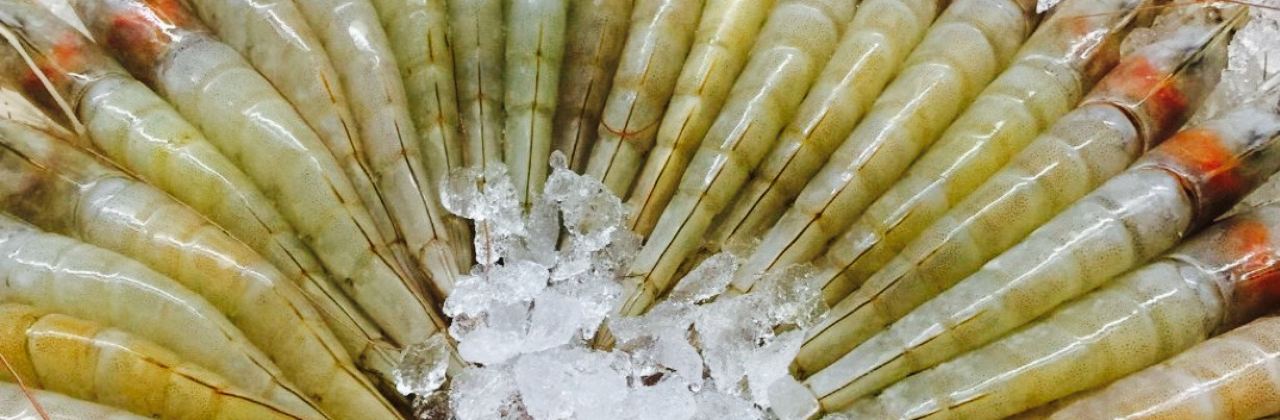 Calamari Seafood Market Restaurant