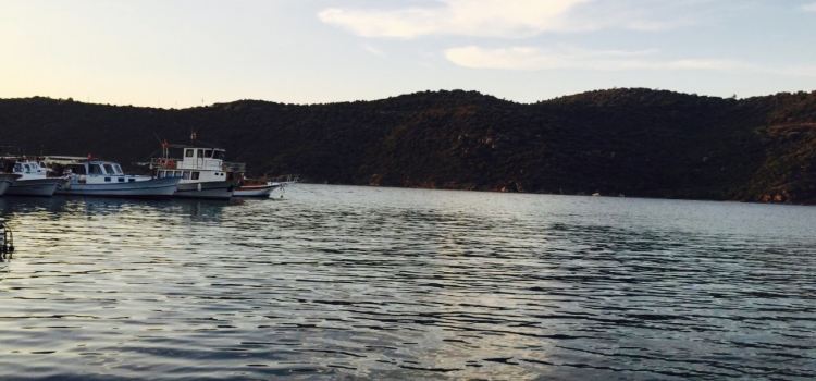 Yeni Albatros Restaurant Bayram'ın Yeri