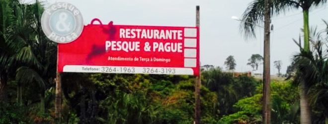 Pesque E Prosa