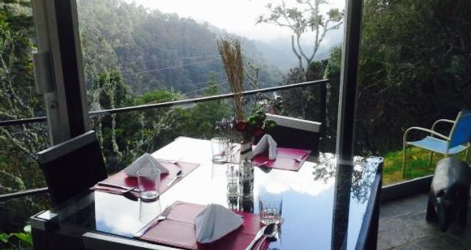 Restaurante la Tapir